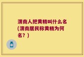 渭南人把黄精叫什么名(渭南居民称黄精为何名？)