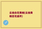 云南白花黄精(云南黄精百花盛开)