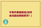 中草药黄精栽培(如何成功栽培黄精草药？)