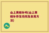 山上黄精补吗(山上黄精补养生功效及食用方法)