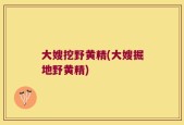 大嫂挖野黄精(大嫂掘地野黄精)
