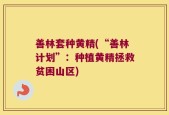 善林套种黄精(“善林计划”：种植黄精拯救贫困山区)
