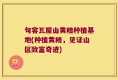 句容瓦屋山黄精种植基地(种植黄精，见证山区致富奇迹)