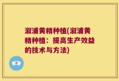 溆浦黄精种植(溆浦黄精种植：提高生产效益的技术与方法)