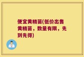 便宜黄精苗(低价出售黄精苗，数量有限，先到先得)