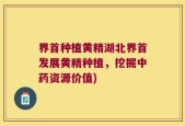 界首种植黄精湖北界首发展黄精种植，挖掘中药资源价值)