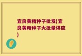 宜良黄精种子批发(宜良黄精种子大批量供应)