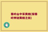 秦岭山中采黄精(探秦岭神秘黄精之旅)