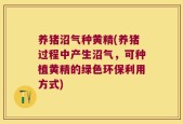 养猪沼气种黄精(养猪过程中产生沼气，可种植黄精的绿色环保利用方式)