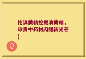 挖滇黄精挖掘滇黄精，珍贵中药材闪耀新光芒)