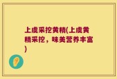 上虞采挖黄精(上虞黄精采挖，味美营养丰富)