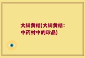 大脚黄精(大脚黄精：中药材中的珍品)
