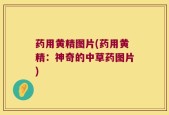 药用黄精图片(药用黄精：神奇的中草药图片)