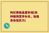 枸杞黄精桑葚熟地(四种植物营养补给，加强身体抵抗力)