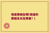 地道黄精在哪(地道的黄精生长在哪里？)