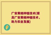 广安黄精种植技术(提高广安黄精种植技术，助力农业发展)