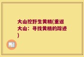 大山挖野生黄精(重返大山：寻找黄精的踪迹)