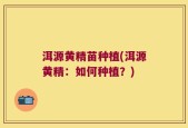 洱源黄精苗种植(洱源黄精：如何种植？)