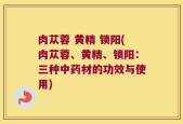 肉苁蓉 黄精 锁阳(肉苁蓉、黄精、锁阳：三种中药材的功效与使用)