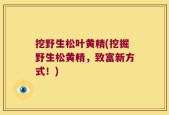 挖野生松叶黄精(挖掘野生松黄精，致富新方式！)