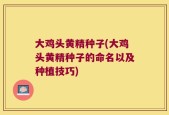 大鸡头黄精种子(大鸡头黄精种子的命名以及种植技巧)
