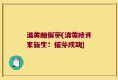 滇黄精催芽(滇黄精迎来新生：催芽成功)