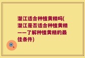 潜江适合种植黄精吗(潜江是否适合种植黄精——了解种植黄精的最佳条件)