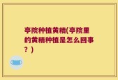 亭院种植黄精(亭院里的黄精种植是怎么回事？)