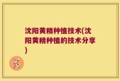 沈阳黄精种植技术(沈阳黄精种植的技术分享)
