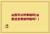山西可以种黄精吗(山西适宜黄精种植吗？)