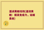 酒浈黄精功效(酒浸黄精：提高免疫力，延缓衰老)