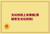 文玩核桃上有黄精(黄精寄生文玩核桃)