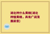 湖北种什么黄精(湖北种植黄精，具有广阔发展前景)