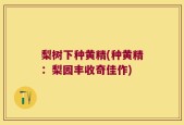 梨树下种黄精(种黄精：梨园丰收奇佳作)