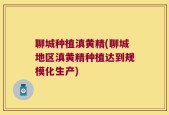 聊城种植滇黄精(聊城地区滇黄精种植达到规模化生产)