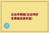 沅古坪黄精(沅古坪野生黄精资源丰富)