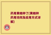 药用黄精种了(黄精种药用功效及应用方式详解)