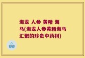 海龙 人参 黄精 海马(海龙人参黄精海马汇聚的珍贵中药材)