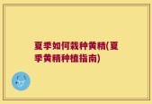 夏季如何栽种黄精(夏季黄精种植指南)