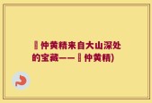 扗仲黄精来自大山深处的宝藏——扗仲黄精)
