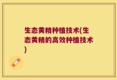 生态黄精种植技术(生态黄精的高效种植技术)