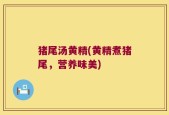 猪尾汤黄精(黄精煮猪尾，营养味美)
