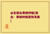 山东烟台黄精种植(烟台：黄精种植蓬勃发展)
