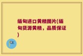 缅甸进口黄精图片(缅甸货源黄精，品质保证)