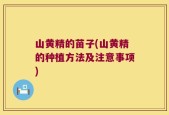 山黄精的苗子(山黄精的种植方法及注意事项)