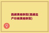 西藏黄精刺梨(西藏出产珍稀黄精刺梨)