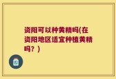 资阳可以种黄精吗(在资阳地区适宜种植黄精吗？)