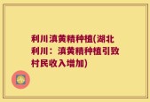利川滇黄精种植(湖北利川：滇黄精种植引致村民收入增加)
