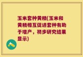 玉米套种黄精(玉米和黄精相互促进套种有助于增产，初步研究结果显示)