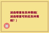 湖南哪里有良种黄精(湖南哪里可购买良种黄精？)